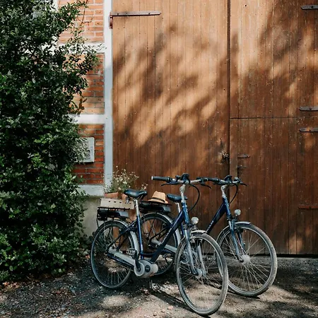 Paerchen Auszeit Am Rande Der Heide Constantia * Schwienau