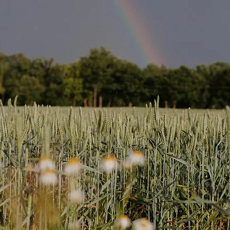 Paerchen Auszeit Am Rande Der Heide Constantia Schwienau