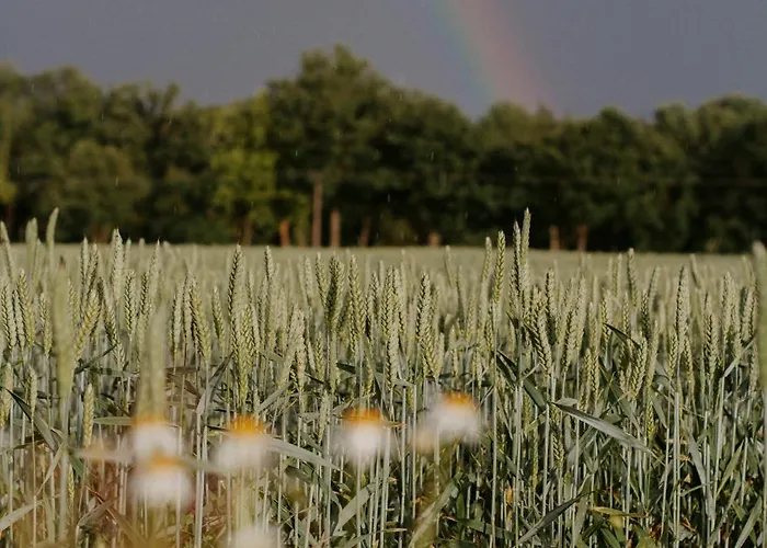 Paerchen Auszeit Am Rande Der Heide Constantia Schwienau