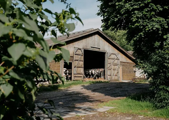 Apartman Paerchen Auszeit Am Rande Der Heide Constantia Schwienau