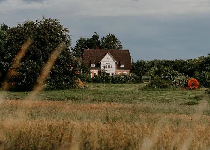 Paerchen Auszeit Am Rande Der Heide Constantia Apartman