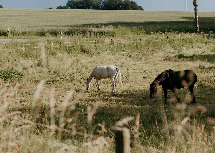 Paerchen Auszeit Am Rande Der Heide Constantia